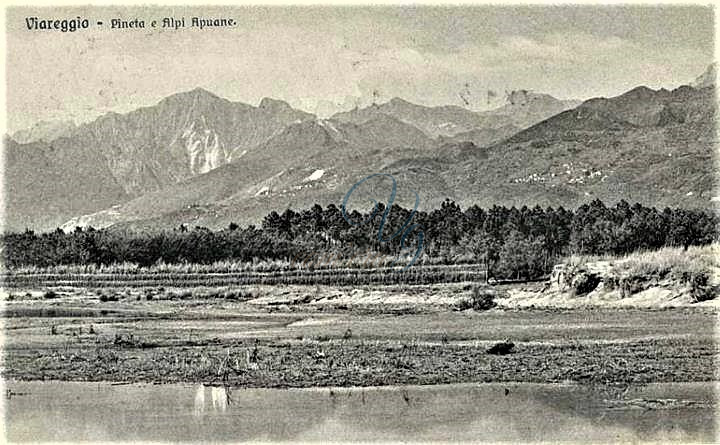 Spiaggia e pineta Viareggio Anno 1890