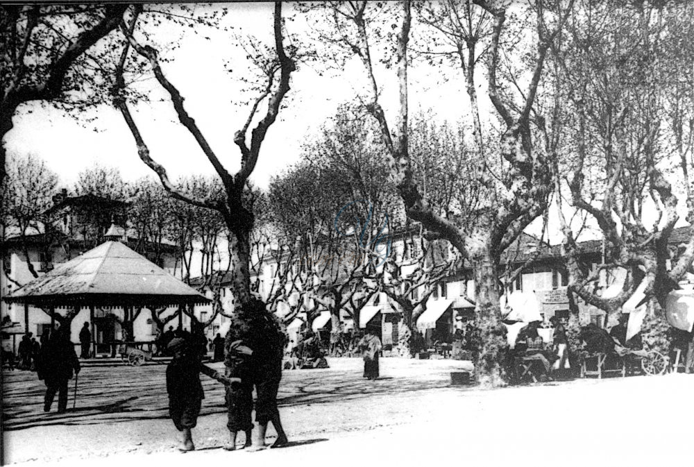 Piazza del vecchio Mercato Viareggio Anno 1900