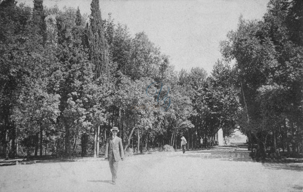 La Casina in pineta Viareggio Anno 1911