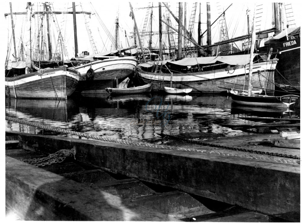 Velieri in porto Viareggio Anni '40