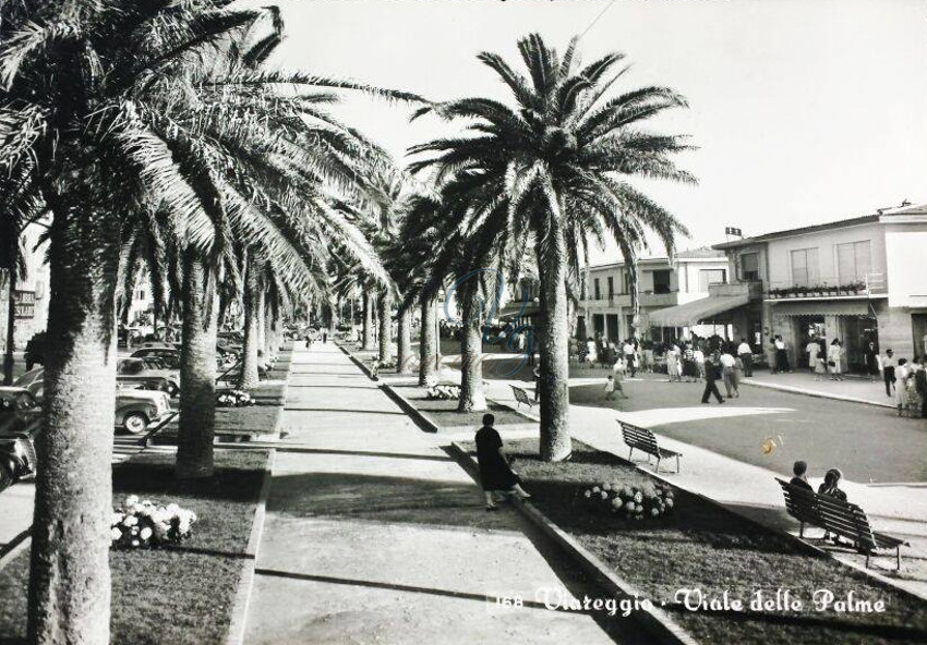 Viale delle Palme Viareggio Anni '50